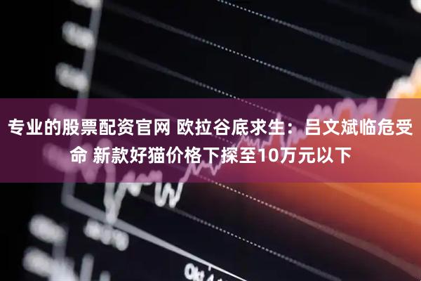 专业的股票配资官网 欧拉谷底求生：吕文斌临危受命 新款好猫价格下探至10万元以下